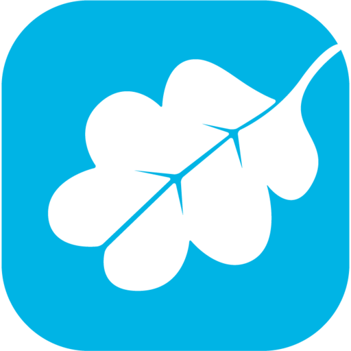 logo Ssiad Montpellier